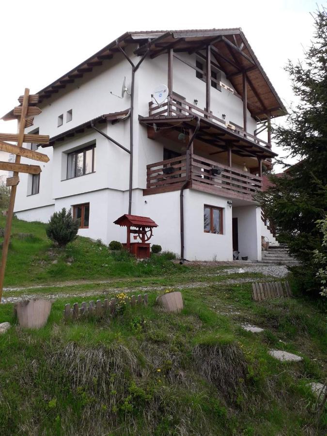 Casa de vacanta Two Brothers Concept Păltiniş Exterior foto